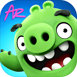 愤怒的小鸟里约大冒险最新版(Angry Birds) v2.6.13 安卓版2